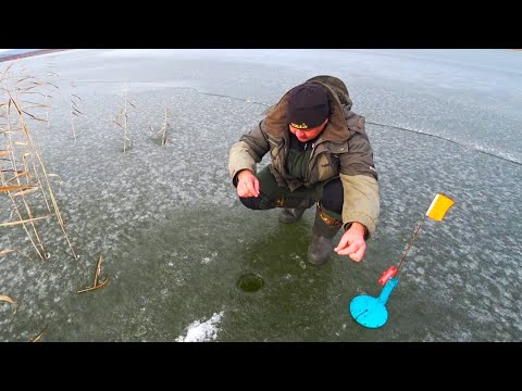 Видео: ПЕРВЫЙ ЛЕД 2025 2026! рыбалка на жерлицы и ловля окуня по первому льду