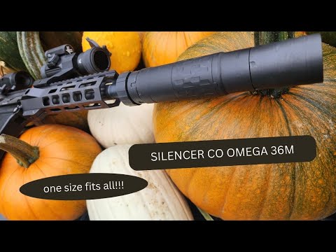 Видео: Глушитель, который делает всё!!! OMEGA 36M от Silencer CO