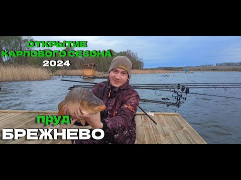 Видео: ОТКРЫТИЕ КАРПОВОГО СЕЗОНА 2024  БРЕЖНЕВО Отличный отдых