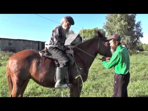 Видео: Господа казаки!   Не любо ,братцы, не любо!