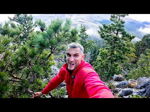 Видео: АДЫГЕЯ ЧТО ПОСМОТРЕТЬ ЗА ОДИН ДЕНЬ? ГОРЯЧИЕ ИСТОЧНИКИ! ПЛАТО ЛАГО-НАКИ И АЗИСШСКИЕ ПЕЩЕРЫ