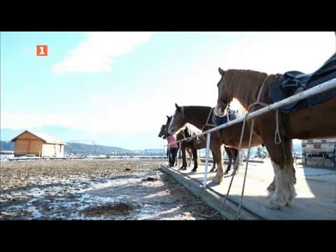 Видео: Село Бачево, "Българското село" - 23.02.2025