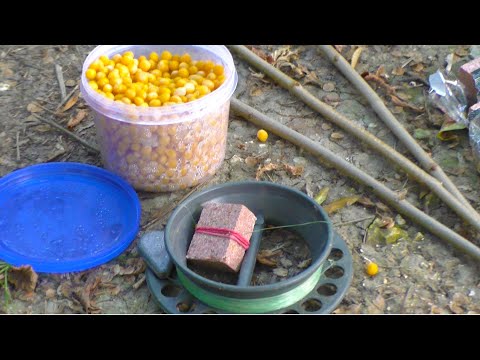 Видео: Рыбалка с ночевкой. Закидушки на сазана, и просто рыбалка