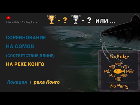 Видео: Fishing Planet - Соревнование на Сомов на реке Конго (соответствие длине) - Будет нескучно!