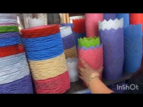 Видео: 4 СЕНТЯБРЬ  ТОШКЕНТ МАГНОЛИЯ УЗ ГА БОРДИМ🌻🌼🌷🪻⚘️🌱🪴🌲🌳🌴🌵🌾🌿☘️🍀🍁