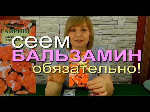 Видео: САДОВЫЙ БАЛЬЗАМИН. ПОСЕВ НА РАССАДУ. Сезон 2020. СОВЕТЫ от ЗЕЛЕНОГО ОГОРОДА!