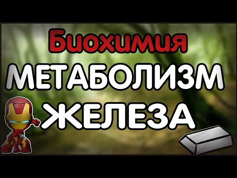 Видео: Биохимия. Лекция 32. Метаболизм железа