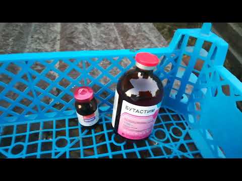 Видео: #Поросята не растут / Какие #препараты использовать / С чего начать