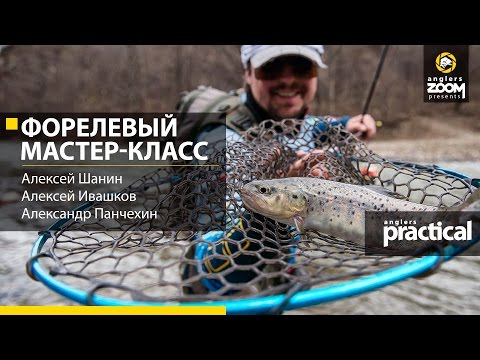 Видео: Форелевый мастер-класс. Алексей Шанин, Алексей Ивашков, Александр Панчехин. Anglers Practical.