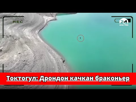 Видео: Токтогул: Дрондон качкан браконьер | Күтүүсүз текшерүү