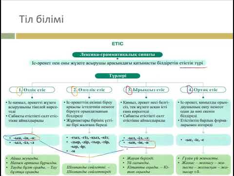 Видео: Тіл білімі,  Етіс,   Өздік етіс, Өзгелік етіс, Ырықсыз етіс, Ортақ етіс,