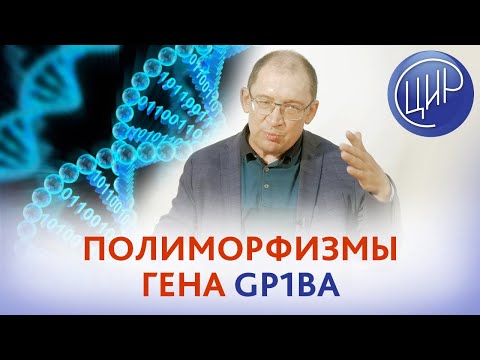 Видео: Полиморфизмы гена gp1ba и невынашивание беременности. Обследование и подготовка к беременности.