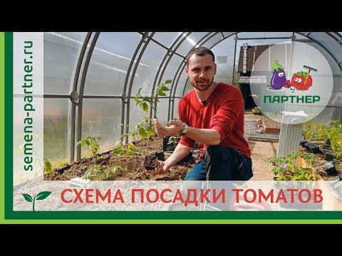 Видео: СХЕМА ПОСАДКИ ТОМАТОВ