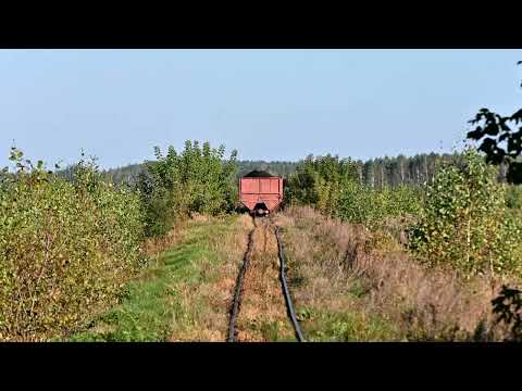 Видео: Узкоколейная железная дорога Нёманского торфопредприятия