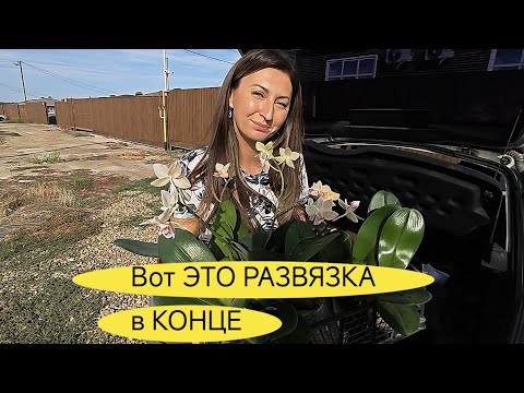 Видео: Раджа ОРХОРАЙ обокрали пока он в Китае 🤯/ ОБЗОР ТЕПЛИЦЫ ОРХИДЕЙ ОРХОРАЙ