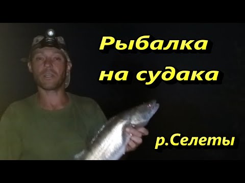Видео: Рыбалка на судака