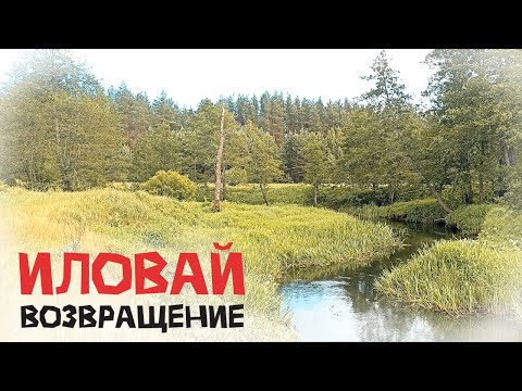 Видео: Сплав по реке Иловай. Лето 2024.