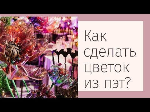 Видео: Цветы из пластика или пэт. Мастер класс.