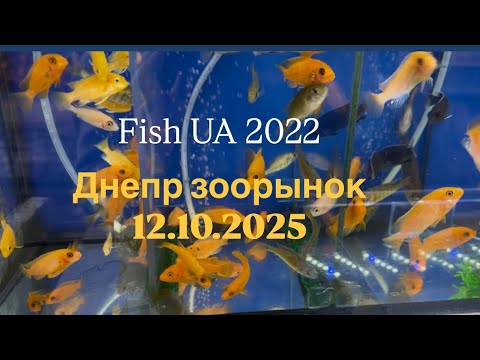 Видео: Зоорынок Днепр 12.10.25 (полный обзор) птичий рынок