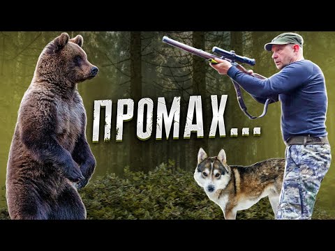 Видео: Охота на Медведя с лайкой, карабин виноват...