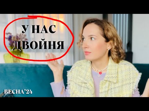 Видео: Забрали с улицы брошенных котят