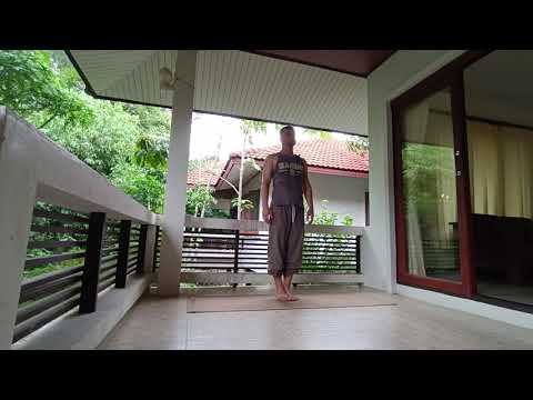 Видео: Йога Сукшма Вьяяма - 01