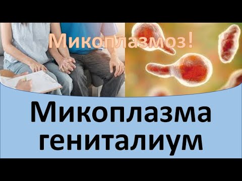 Видео: Микоплазма гениталиум