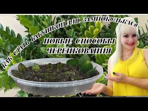 Видео: 🌱🌱🌱УСКОРЯЕМ ЗАМИК- ГОНКА ЗА ПОТОМСТВОМ