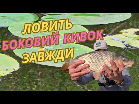 Видео: БОКОВИЙ КИВОК ЛОВИТЬ ЗАВЖДИ | Риболовля на бічний кивок на карася та коропа. Ловля риби на кивок