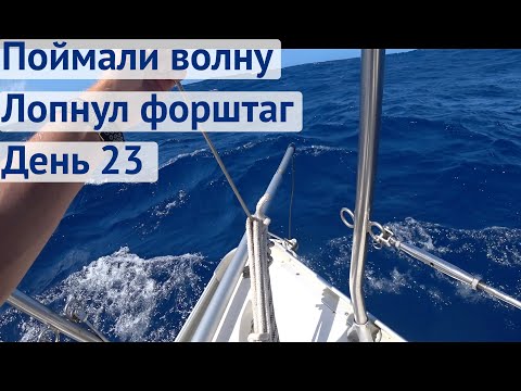 Видео: Лопнул форштаг в океане, стараемся не потерять мачту | Трансатлантика день 23