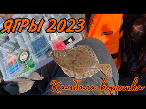 Видео: 🎣Ягры|Корюшка|Камбала