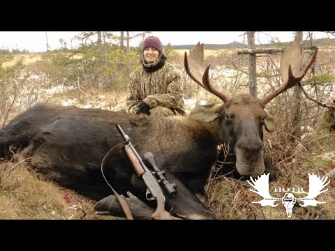 Видео: Охота Триши на лося в стиле 30-30!