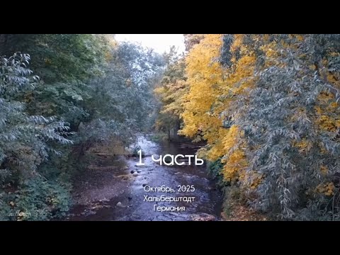Видео: 1 часть. Октябрь, 2025, Хальберштадт, Германия