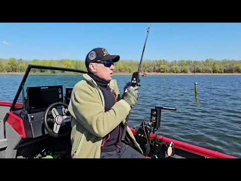 Видео: Folkfishing Ombra- В бой с Тенью! Самы полный обзор кастинговых спиннингов Омбра от Фолкфишинг.