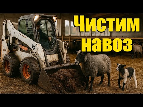 Видео: Как я навожу порядок в кошаре: чистка навоза трактором