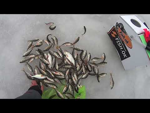 Видео: СОШЁЛ ЛЁД НА ОЗЕРАХ-НЕ БЕДА.ПЕРЕБИРАЕМСЯ НА ГОРОДСКИЕ КАРЬЕРЫ.