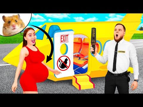 Видео: Как пронести домашних животных в самолёт | Смешные моменты от PaRaRa Challenge