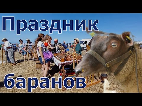 Видео: Ярмарка овец. Foire aux moutons