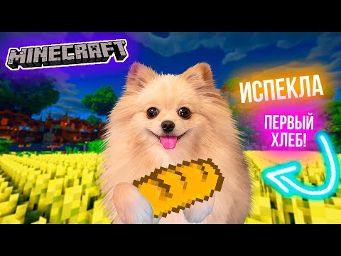 Видео: ИСПЕКЛА ПЕРВЫЙ ХЛЕБ В МАЙНКРАФТ ! МОЙ ОГОРОД В MINECRAFT