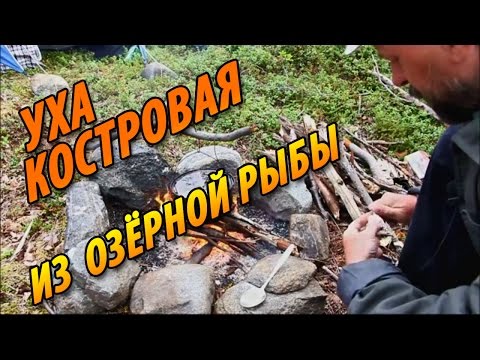 Видео: Уха походная по-карельски - уха костровая из озёрной рыбы