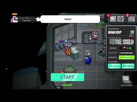 Видео: Играем в Among Us Мод TOHE