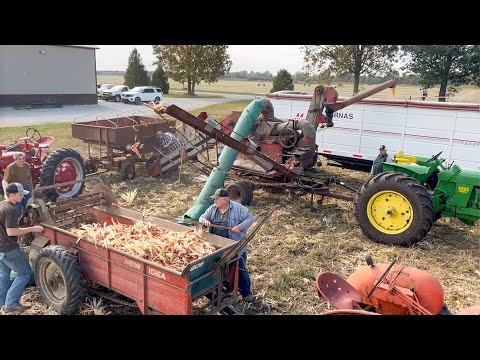 Видео: Сбор и шелушение кукурузы початками. Новая идея: однорядный сборщик кукурузы и кукурузоочиститель...