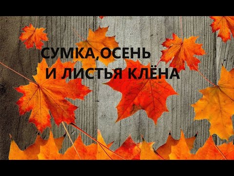 Видео: Эко-сумка с кленовыми листьями.Сумка-шопер.(2023г)