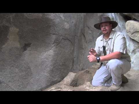 Видео: Как найти воду в пустыне