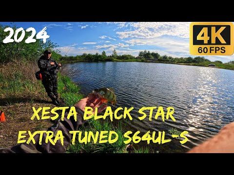 Видео: Окунь на XESTA Black Star Extra Tuned S64UL-S Semi Automatic