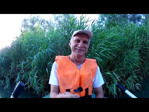 Видео: Глубокий Турунчук , первый выход после нереста.