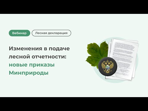 Видео: Изменения в подаче лесной отчетности: новые приказы Минприроды