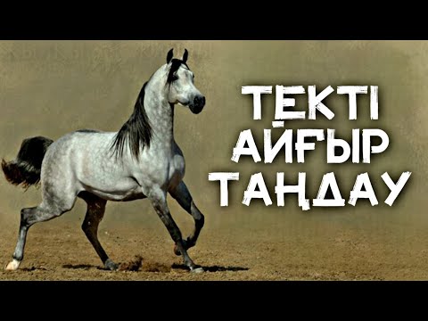 Видео: АЙҒЫРДЫҢ МЫҚТЫСЫН ҚАЛАЙ ТАҢДАЙМЫЗ❓🐎 - Жылқы Жайлы