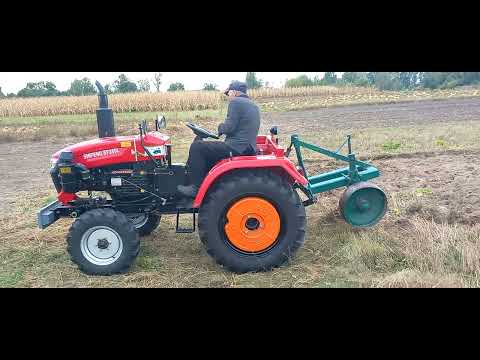 Видео: 1 ноября 2025 г.