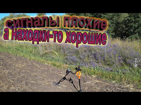 Видео: Коп на поле! Копаем плохие сигналы, а находим хорошие вещицы! Поиск с Гарретт ат про, "прошкой"!!!
